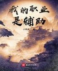 我的职业是辅助